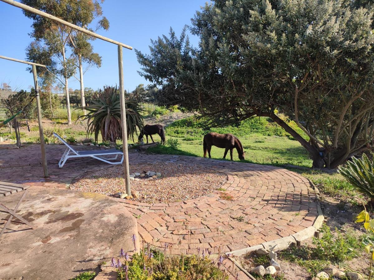 The Riverstone - Romantic Hideaway By The River - Loadshedding Free! Napier Exterior foto